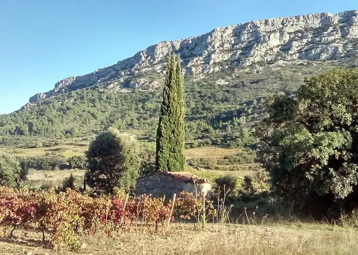 Domaine Vents Du Sud