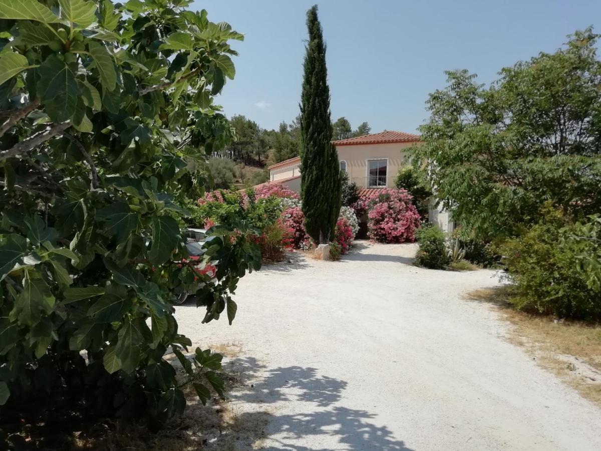 Ferienhaus Domaine Vents Du Sud Vingrau