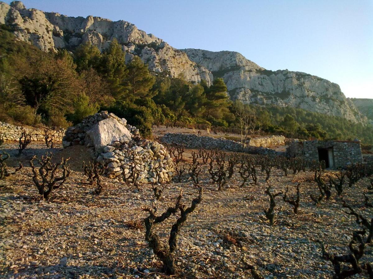 Domaine Vents Du Sud Ferienhaus *